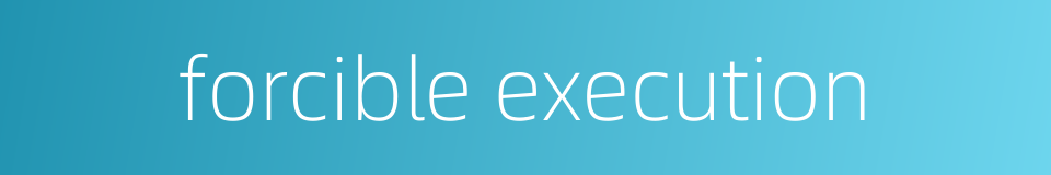 forcible execution的同义词