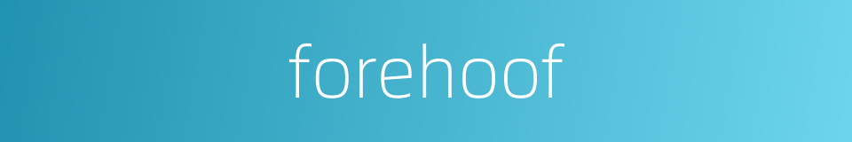 forehoof的同义词
