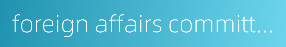 foreign affairs committee的同义词
