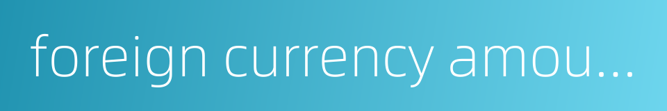 foreign currency amount的同义词