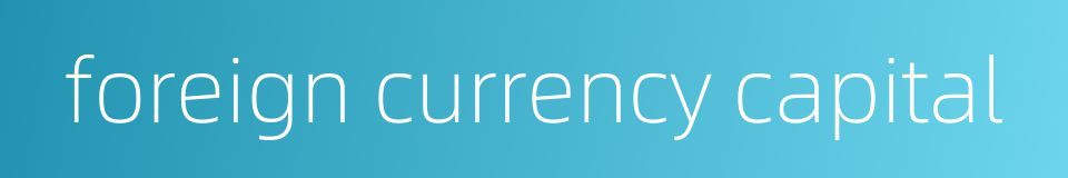 foreign currency capital的同义词