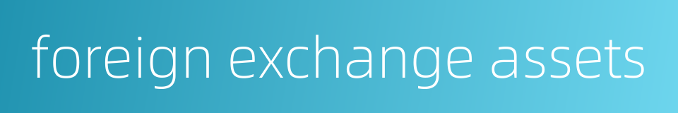 foreign exchange assets的同义词