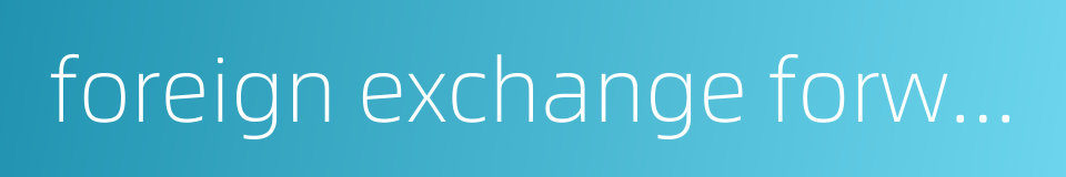 foreign exchange forwards的同义词