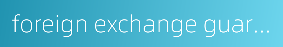 foreign exchange guarantee的同义词