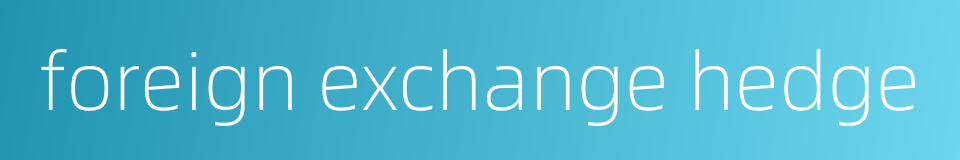 foreign exchange hedge的同义词