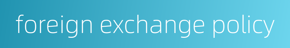 foreign exchange policy的同义词