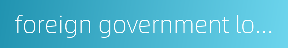 foreign government loans的同义词