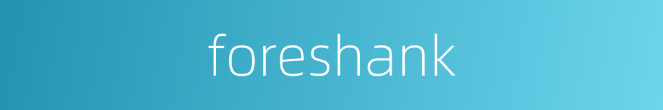 foreshank的同义词