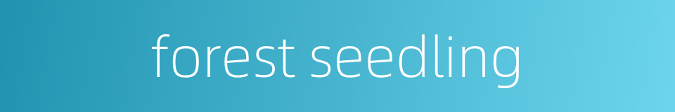 forest seedling的同义词