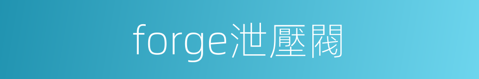 forge泄壓閥的同義詞