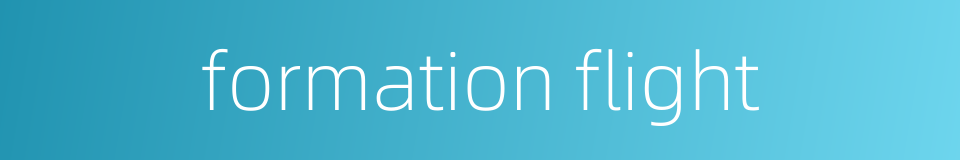 formation flight的同义词