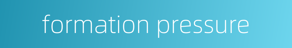 formation pressure的同义词