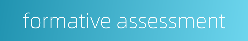 formative assessment的同义词