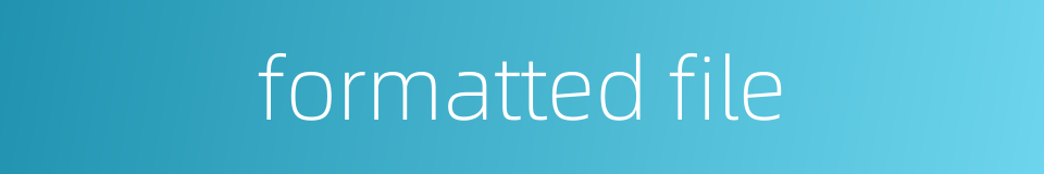 formatted file的同义词