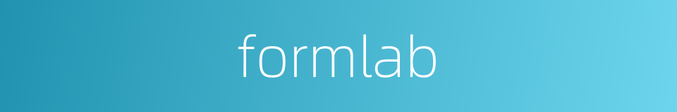formlab的同义词