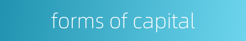 forms of capital的同义词