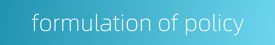 formulation of policy的同义词