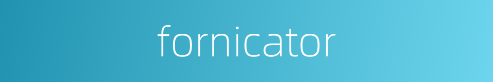 fornicator的同义词