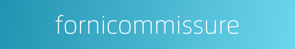 fornicommissure的同义词