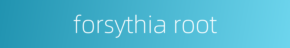 forsythia root的同义词