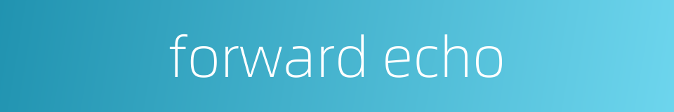 forward echo的同义词
