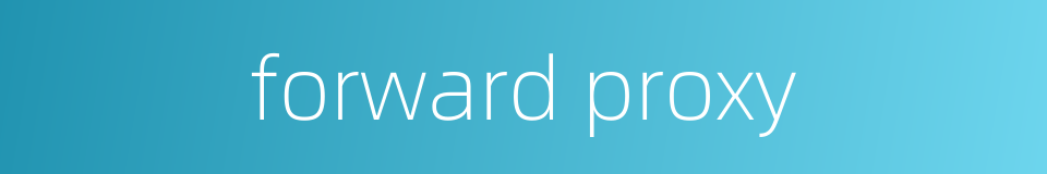 forward proxy的同义词
