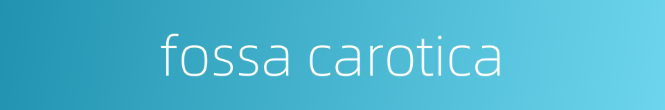 fossa carotica的同义词
