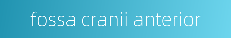 fossa cranii anterior的同义词