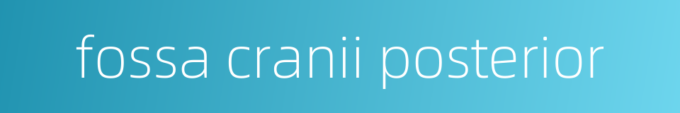fossa cranii posterior的同义词