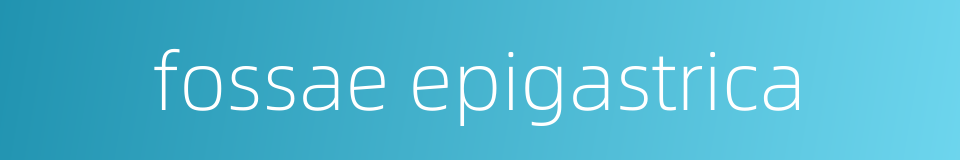 fossae epigastrica的同义词