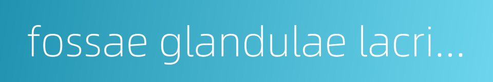 fossae glandulae lacrimalis的同义词