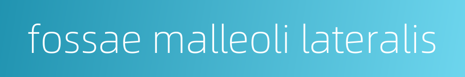 fossae malleoli lateralis的同义词