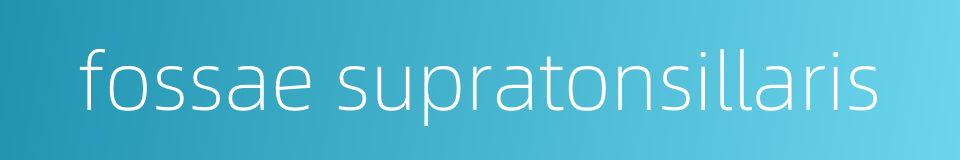 fossae supratonsillaris的同义词