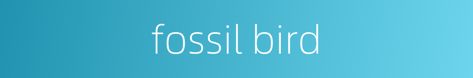 fossil bird的同义词
