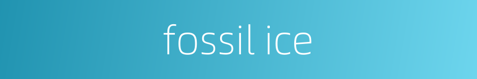 fossil ice的同义词