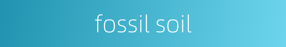 fossil soil的同义词