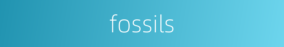 fossils的同义词