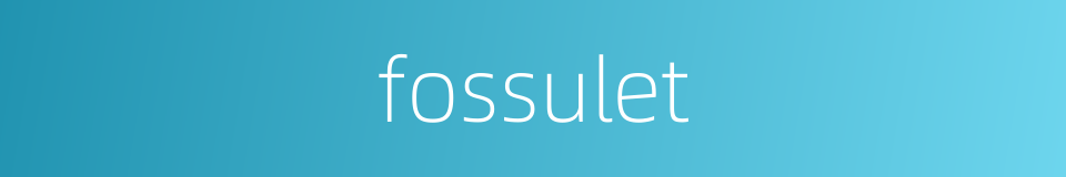fossulet的同义词