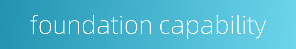 foundation capability的同义词