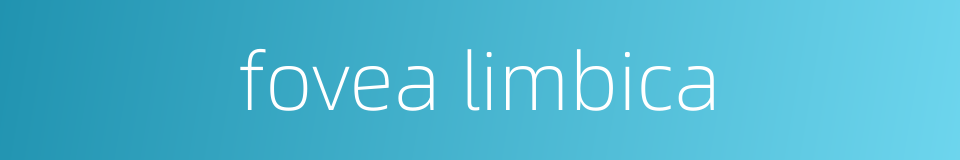 fovea limbica的同义词