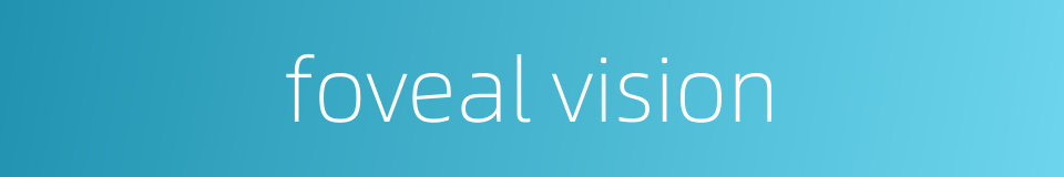 foveal vision的同义词