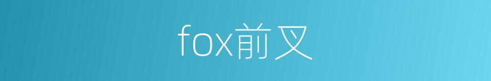 fox前叉的同义词