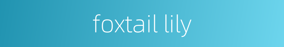foxtail lily的同义词