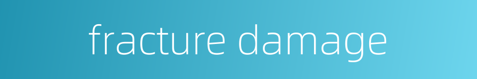 fracture damage的同义词
