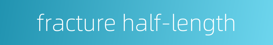 fracture half-length的同义词