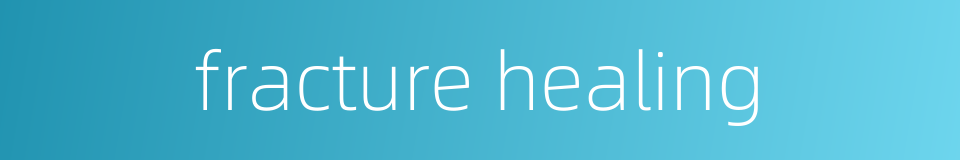 fracture healing的同义词