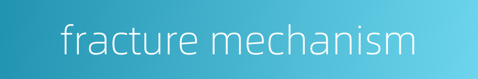 fracture mechanism的同义词