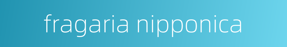 fragaria nipponica的同义词