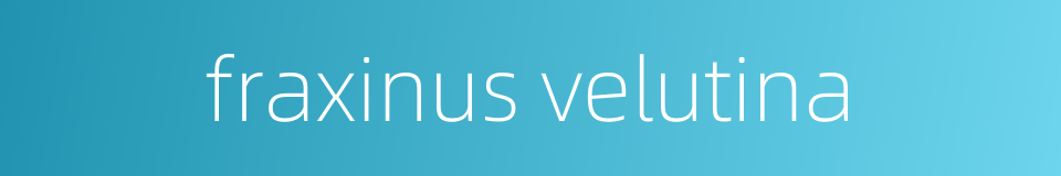 fraxinus velutina的同义词