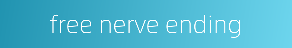 free nerve ending的同义词